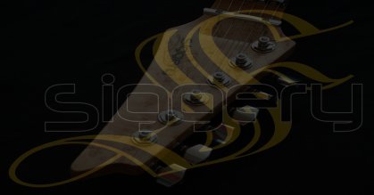 siggery guitars